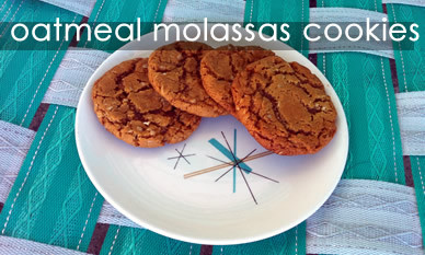 Oatmeal Molasses Cookies